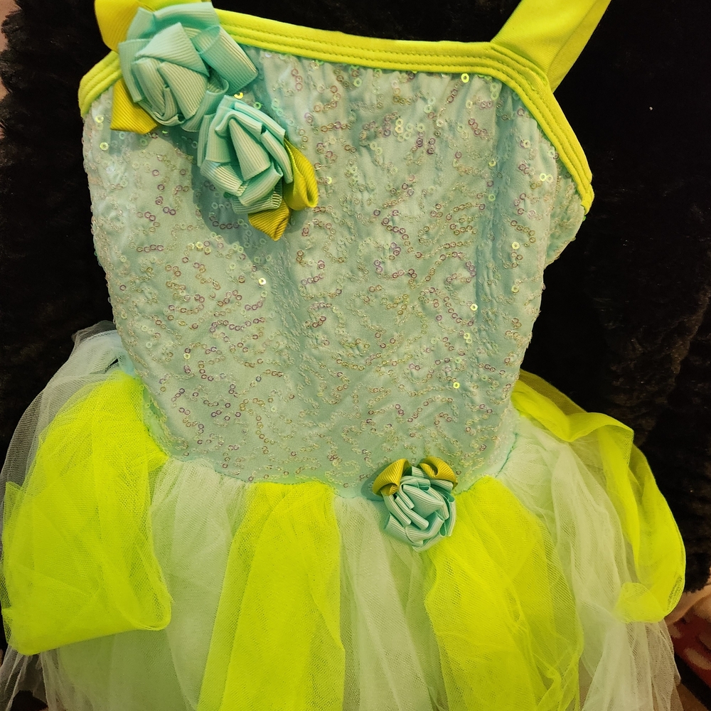 Revolution Blue and Green Dance Costume with Tulle Skirt